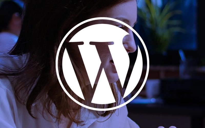 common mistakes wordpress users make