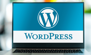 En hızlı wordpress hosting