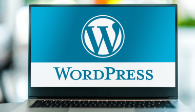 En hızlı wordpress hosting