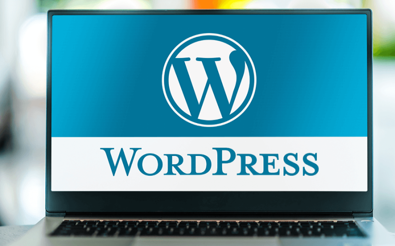 En hızlı wordpress hosting