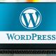 En hızlı wordpress hosting