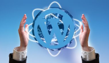 Wordpress hosting paketleri