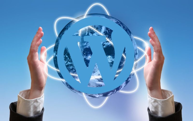 Wordpress hosting paketleri