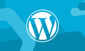 Wordpress için en iyi hosting