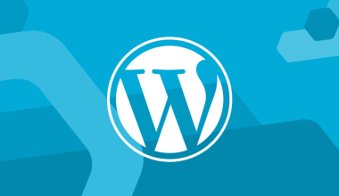 Wordpress için en iyi hosting