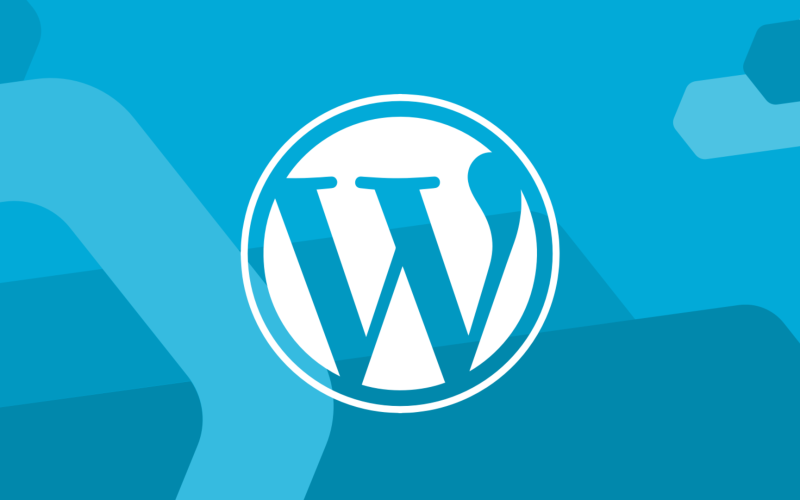 Wordpress için en iyi hosting