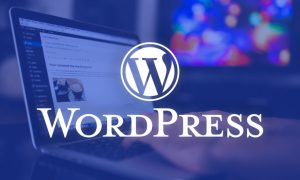 En ucuz wordpress hosting