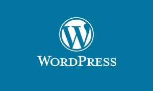 Wordpress Hosting