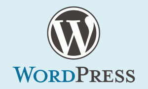 WordPress Hosting’de 0 CPU İzni Neden Önemli