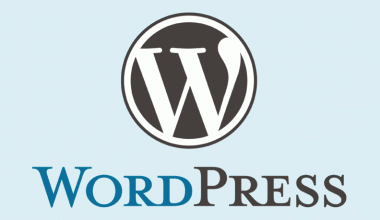 WordPress Hosting’de 0 CPU İzni Neden Önemli