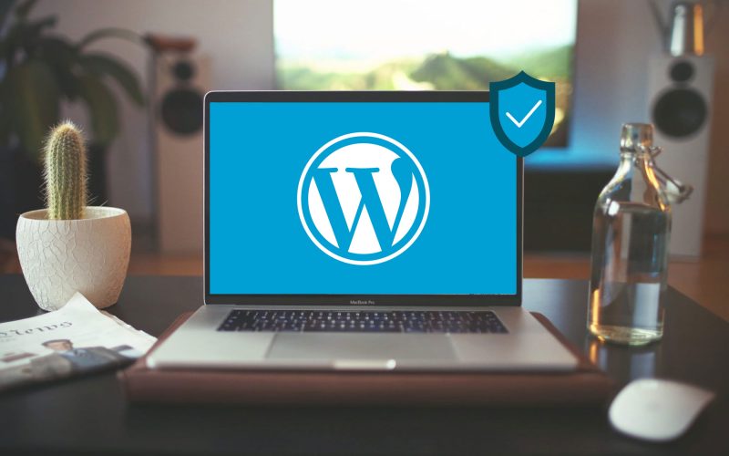 WordPress İçin NVMe SSD Disk Kullanmanın Avantajları