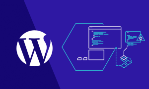 WordPress İçin Ömür Boyu SSL’in Avantajları