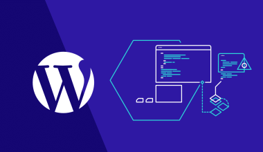 WordPress İçin Ömür Boyu SSL’in Avantajları