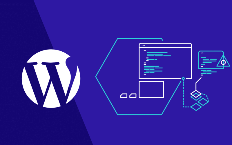 WordPress İçin Ömür Boyu SSL’in Avantajları