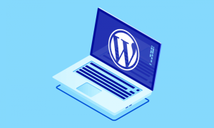 WordPress için Limitsiz Aylık Trafiğin Önemi