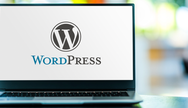 WordPress Ömür Boyu SSL Güvenli Bir Gelecek İçin