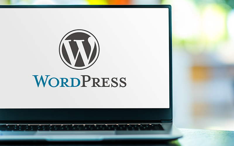 WordPress Ömür Boyu SSL Güvenli Bir Gelecek İçin